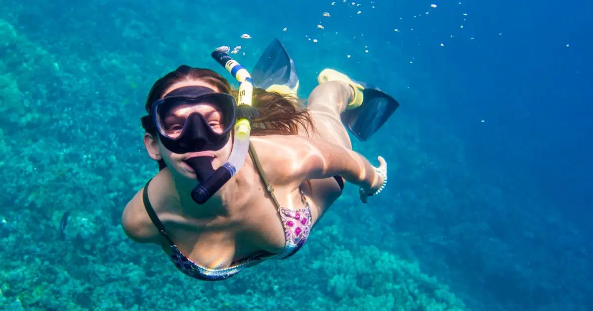 Snorkeling Experience